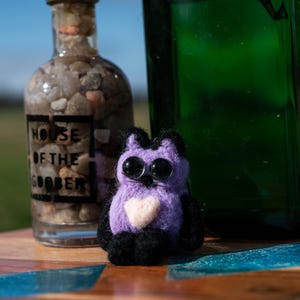 Peut inclure: Une petite créature en feutrine violette et noire avec de grands yeux noirs et un cœur crème sur la poitrine, placée entre une bouteille en verre transparent remplie de petits cailloux étiquetée House of the Goober et une grande bouteille verte.