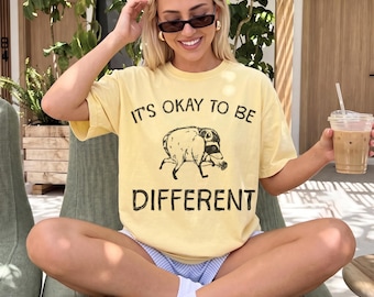„Anderssein ist okay“-Shirt, Jimothy-Waschbär-T-Shirt, lustiges Meme-Geschenk, Tiermotiv