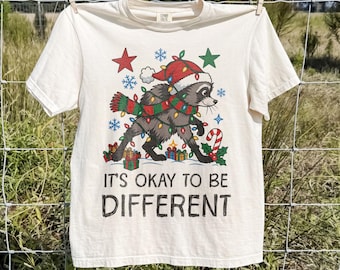 Weihnachts-T-Shirt mit Jimothy-Waschbär, „Anderssein ist okay“-Shirt, Panda-Weihnachtsgeschenk für Selbstfürsorge