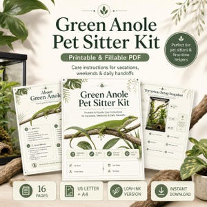 Op de afbeelding: Een afdrukbare en invulbare PDF Green Anole Pet Sitter Kit. De kit bevat verzorgingsinstructies voor vakanties en weekenden. De omslag toont een groene anolis hagedis. Bevat 16 pagina's, US Letter + A4 en een low-ink versie.