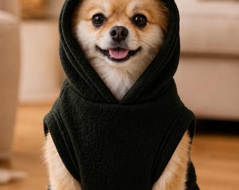Frosch Hund Hoodie, Plüsch-Haustier-Kostüm, kleiner Hundepullover, Welpen Kapuzenweste, Katzen Outfit