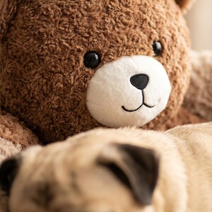 May include: A brown plush teddy bear with a textured, curly fur finish, round ears, and a smooth white muzzle featuring black plastic eyes and a stitched black nose and mouth, positioned behind a sleeping light tan pug dog with dark ears.