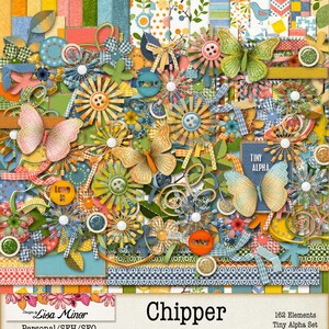 Op de afbeelding: Een digitale scrapbookingkit met een vrolijk, kleurrijk thema. De kit bevat 64 papieren, 162 elementen en een klein alfabetset. De papieren hebben een verscheidenheid aan patronen, waaronder ruitjes, stippen, strepen en bloemenmotieven. De elementen omvatten vlinders, bloemen, knopen en linten. De kit is perfect voor het maken van scrapbookpagina's, kaarten en andere knutselwerken met papier.