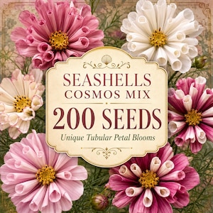 Può includere: Una bustina di semi Seashells Cosmos Mix contenente 200 semi con petali tubolari unici. L'etichetta riporta il testo SEASHELLS COSMOS MIX 200 SEEDS Unique Tubular Petal Blooms, circondato da fiori di cosmo rosa e bianchi.