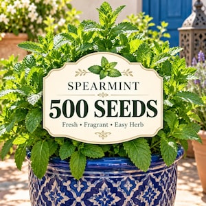 May include: A cream-colored rectangular label with decorative edges featuring the text SPEARMINT 500 SEEDS Fresh Fragrant Easy Herb and a small mint leaf graphic, positioned in front of a lush green spearmint plant in a blue and white patterned pot.