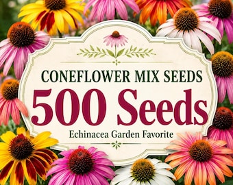 Semi misti di Echinacea, fiori perenni da giardino