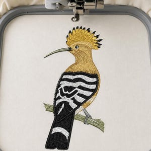 May include: An embroidery design of a hoopoe bird featuring a prominent yellow crest, a long thin beak, and black and white striped wings. The bird is perched on a green branch, captured within a grey embroidery hoop on a white fabric background.