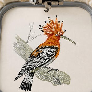 May include: An embroidery design of a hoopoe bird featuring a vibrant orange crest, black and white striped wings, and a long thin beak, stitched onto a light cream fabric held within a grey plastic embroidery hoop under a sewing machine needle.
