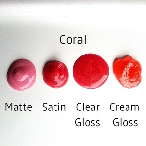 Classic Tones Powder Mica Color for Lip Gloss Sampler 10 G - Etsy