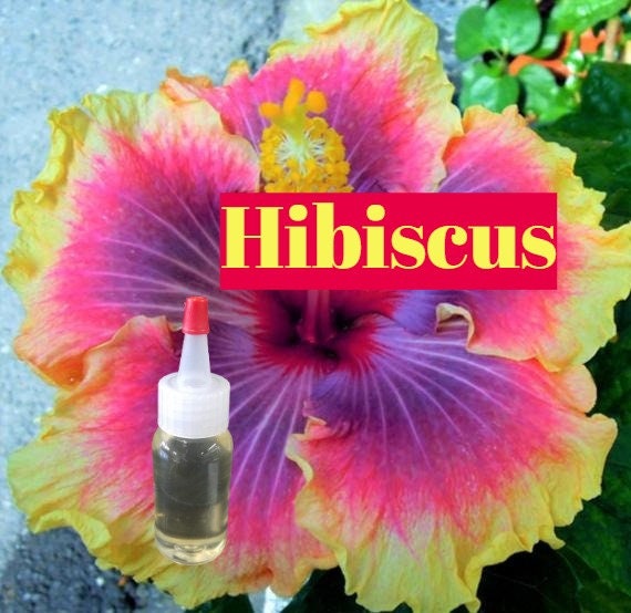 Hibiscus All Natural Flavor Oil for Lip Gloss Lipstick Lip 