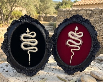 Espécimen de esqueleto de serpiente enmarcado / Arte en huesos ornamentados / Rarezas y curiosidades / Decoración gótica para el hogar