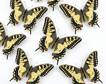 1-50 stuks gele zwaluwstaartvlinder | Kunstvoorraad kunsthars | Cottagecore-decor | DIY-knutselmateriaal | Taxidermiedisplay