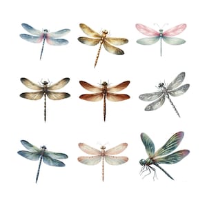 May include: A collection of nine dragonflies arranged in a grid. The insects feature varied wing patterns and body colors, including shades of blue, gold, pink, brown, silver, and iridescent green, displayed against a plain white background.