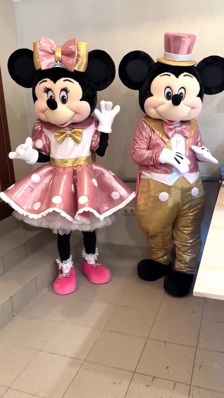 Mickey and Minnie Mouse Mascot Costume Outfit, for Birthday Party ...