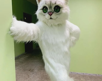 Déguisement mascotte de chat, tenue de chaton en fourrure, pour une fête d'anniversaire