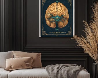 The Brain — Vintage Anatomy, Cerebrum Illustration