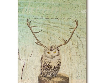 Owl with antlers art print on wood with quote "Not All Who Wander Are Lost"