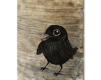 Wood art, baby raven, blackbird, wooden art print