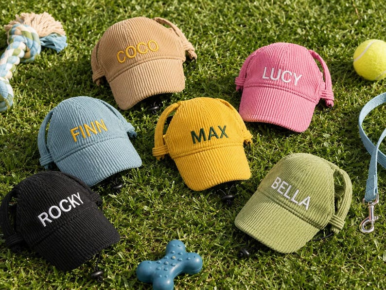May include: A collection of six corduroy pet caps in various colors, including tan, pink, blue, yellow, black, and green. Each cap features an embroidered name on the front: COCO, LUCY, FINN, MAX, ROCKY, and BELLA, with adjustable straps.