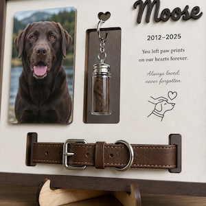 May include: A memorial display featuring a photo of a brown Labrador, a small glass vial with fur on a keychain, and a brown leather dog collar. The text reads: Moose, 2012-2025, You left paw prints on our hearts forever. Always loved, never forgotten.