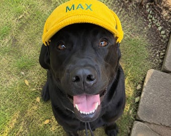 Personalized Embroidered Dog Hat with Ear Holes, Custom Corduroy Pet Baseball Cap, Puppy Sun Visor for Small Medium Large Dogs, Pet Gift