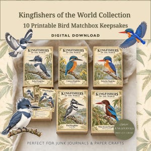 Op de afbeelding: Een digitale collectie van 10 printbare luciferdoosjes met als thema ijsvogels van de wereld. De set bevat geïllustreerde doosjes en kaarten met afbeeldingen van verschillende ijsvogelsoorten, zoals de bandijsvogel.