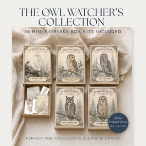 Könnte beinhalten: Die Owl Watcher's Collection umfasst 10 Mini-Aufbewahrungsbox-Sets mit Illustrationen im Vintage-Stil von Eulen wie der Schnee-Eule, dem Sägekauz, dem Bartkauz, dem Uhu und dem Streifenkauz auf Schachteln aus braunem Kraftpapier.