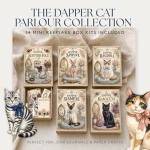 May include: The Dapper Cat Parlour Collection includes 14 mini keepsake box kits featuring illustrations of various cat breeds like the Scottish Fold, Sphynx, Ragdoll, Siamese, and Black Cat, each with vintage-style parlor decor and floral accents.