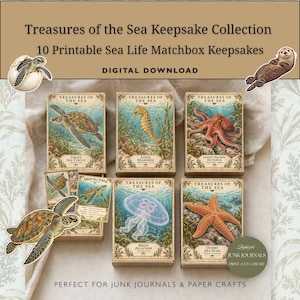 Peut inclure: Un ensemble de téléchargement numérique intitulé Treasures of the Sea Keepsake Collection comprenant 10 boîtes d'allumettes imprimables sur la vie marine. L'image montre cinq boîtes rectangulaires illustrées d'une tortue, d'un hippocampe, d'une pieuvre, d'une méduse et d'une étoile de mer.