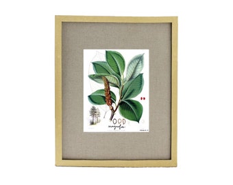 Magnolia Leaf Seed Instant Download Printable Art