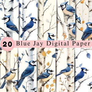 Blue Jay digitaal papierpakket | Bospatronen vogels | Bundel met afdrukbare achtergrond berkenboom natuur