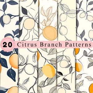 May include: A collection of 20 citrus branch patterns featuring various illustrations of oranges, lemons, and leaves on a cream background. The designs include line art, solid orange and yellow fruit, and dark blue or black foliage elements.