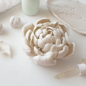 Diffusorestetik, diffusorestetik för rum, diffusordesign, porslinsdiffusor, oljediffusor, blomdiffusor, doftoljediffusor för hemmet