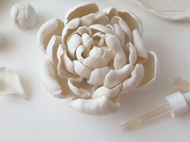 a close-up view of a white flower petal, with a dropper and a small white flower petal to the left.