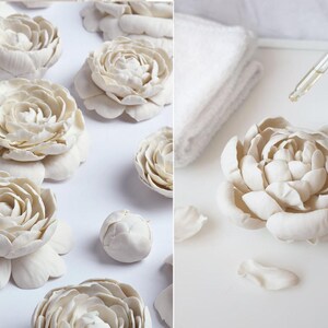 The image is a collage of two photos. The left photo shows a collection of white flower petals arranged on a white background, while the right photo depicts a close-up of a single white flower petal with a dropper in the background.