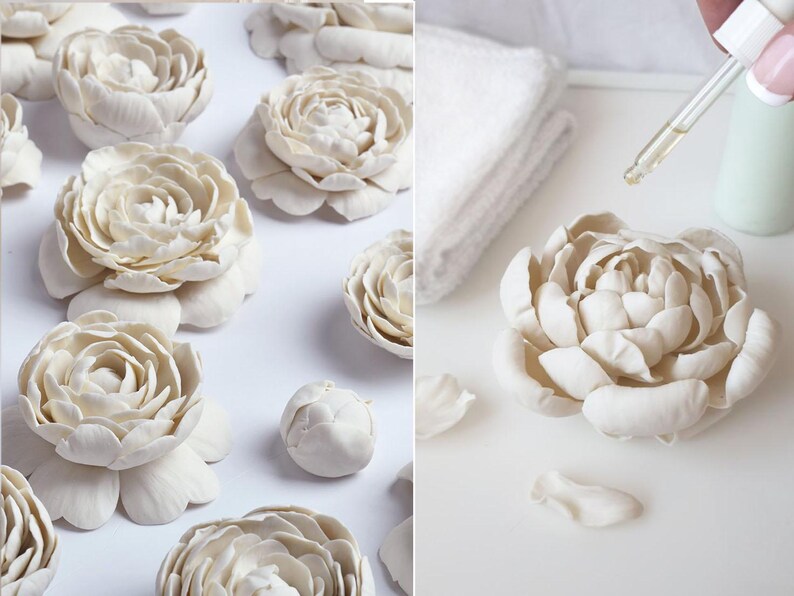 The image is a collage of two photos. The left photo shows a collection of white flower petals arranged on a white background, while the right photo depicts a close-up of a single white flower petal with a dropper in the background.