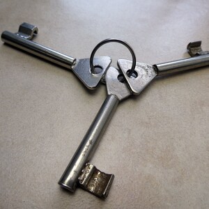 Può includere: Tre chiavi d'argento con un design a forma di buco della serratura triangolare sono collegate da un anello d'argento. Le chiavi sono disposte a forma di triangolo.