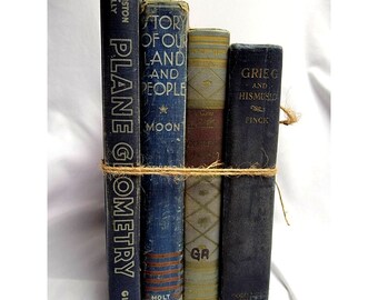 Shabby Vintage Blue Bookstack Decorative