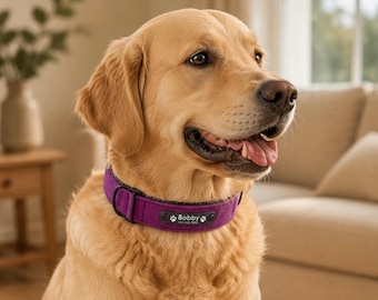 Hundehalsband mit gravierter Platte, Halsband mit Name und Nummer, elegantes Tieraccessoire, Hundegeschenk, verstellbar