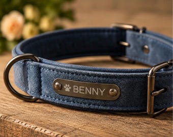 Hundehalsband mit gravierter Platte, Halsband mit Name und Nummer, elegantes Tieraccessoire, Hundegeschenk, verstellbar