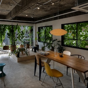 Könnte beinhalten: Ein Esszimmer mit einem langen Holztisch mit weißen Beinen, umgeben von gelben, braunen und weißen Stühlen. Eine große, ovale, gerippte Pendelleuchte hängt über dem Tisch. Der Raum enthält mehrere Topfpflanzen und große Fenster.