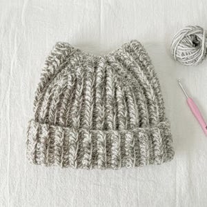 May include: A grey and white variegated yarn beanie with a ribbed knit texture and two pointed cat-ear style peaks at the top. The hat is displayed alongside a matching ball of yarn and a pink crochet hook, showcasing the handmade construction.