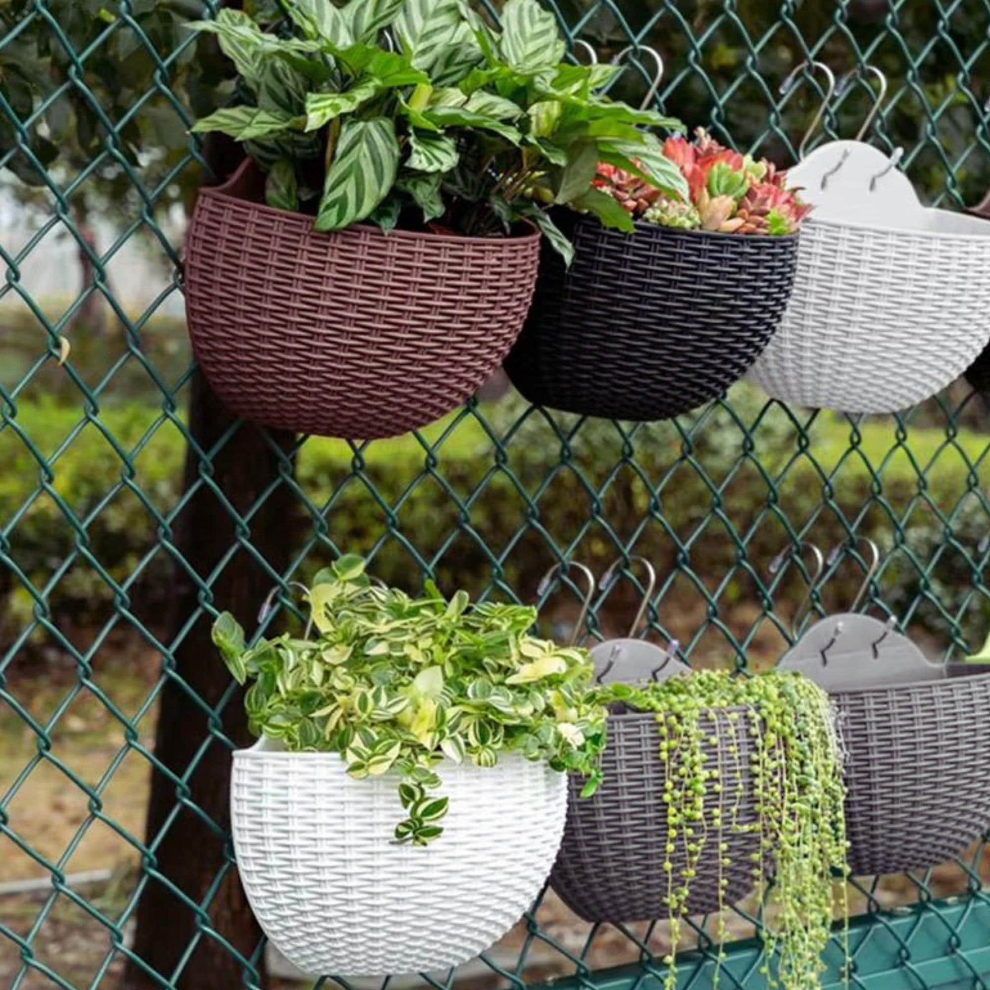 blumenkasten rankgitter holz Oslo Pflanzkasten mit Rankgitter – Garten Wunsch main image 1