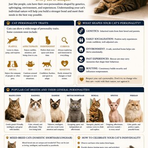 May include: An educational infographic detailing cat personalities and breeds. It covers traits like playful, affectionate, and curious, and features breeds such as Maine Coon, Ragdoll, and Siamese. It also offers advice on understanding your cat.