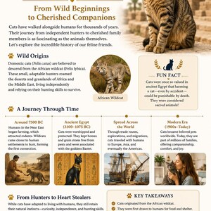 May include: An infographic titled "The History of Cats" detailing the evolution of cats from wild origins to cherished companions. Features text and images, including cats, historical periods, and key takeaways.