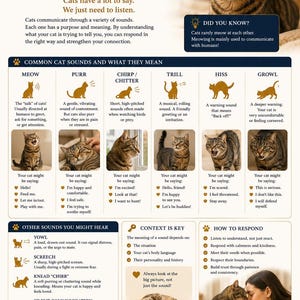 May include: An educational chart detailing cat sounds, with a tabby cat illustration and text. It explains sounds like meow, purr, chirp, trill, hiss, and growl, and their meanings. Includes advice on how to respond to your cat.