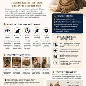 May include: Educational graphic on cat psychology, with a tabby cat image. The text details cat behaviour, covering perception, motivations, and communication. Includes advice for cat owners on understanding their pets.