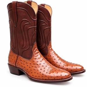 Könnte beinhalten: Ein Paar Westernstiefel mit einem Vorderblatt aus beigem Straußenleder mit markantem Federkielmuster und einem Schaft aus dunkelbraunem Leder. Der Schaft zeigt dekorative Nähte, eine Zuglasche an der Oberseite und einen Blockabsatz.