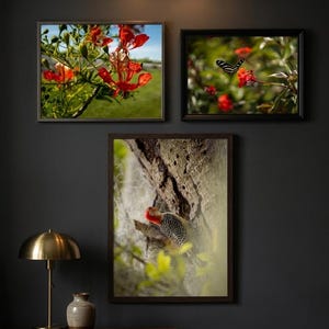 Juego de 3 imágenes imprimibles de arte mural con motivos florales y de vida silvestre en vibrante color rojo.