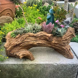 Puede incluir: Una maceta decorativa con forma de tronco desgastado, llena de varias suculentas. La maceta es de color marrón cálido, y las suculentas muestran tonos de verde y morado. Una pequeña estatua de pájaro y una estatua de rana azul son visibles en el fondo.